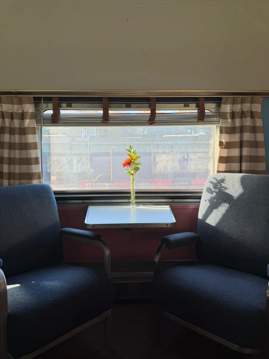 Two blue lounge chairs facing a window table with a flower in a vase, sunlight across the seats