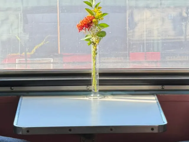 A single flower in a glass vase on the window table